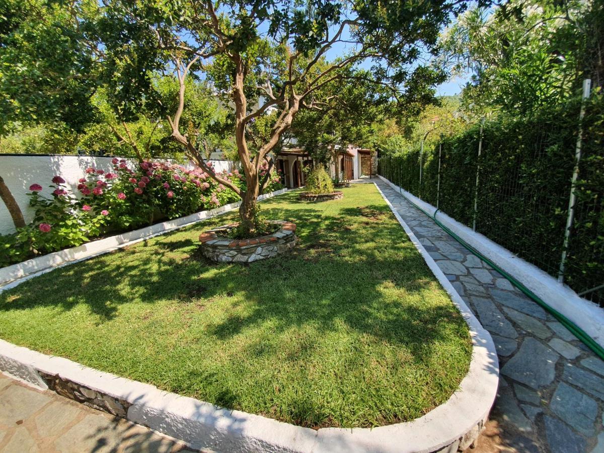 Dionisos Studios And Apts Skiathos Koukounaries Bagian luar foto