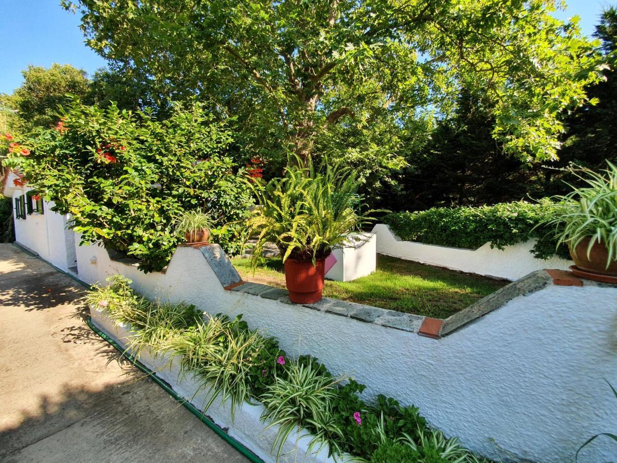 Dionisos Studios And Apts Skiathos Koukounaries Bagian luar foto