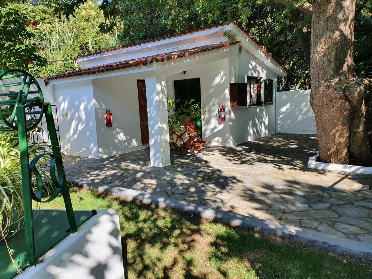 Dionisos Studios And Apts Skiathos Koukounaries Bagian luar foto